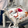 ‘on-the-brink-of-death’-–-who-warns-newborn-babies-in-gaza-are-dying