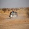 bodies-of-65-people-found-in-mass-grave-in-libya:-un-migration-agency