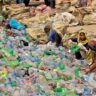 invisible-plastic:-why-banning-plastic-bags-will-never-be-enough