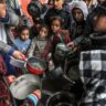northern-gaza-in-‘full-blown-famine’,-un-food-agency-chief-says