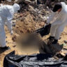 gaza’s-seventh-mass-grave-discovered-at-al-shifa-hospital