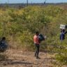 anxious-zimbabwean-migrants,-smugglers-watch-south-africa’s-election