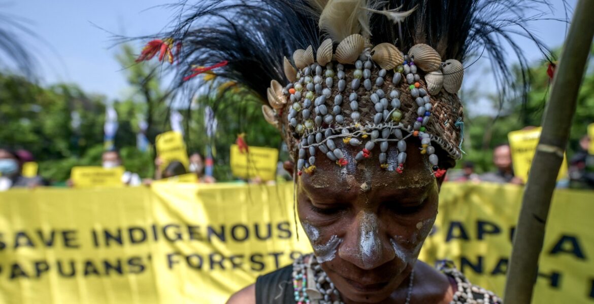 papuans-head-to-indonesian-court-to-protect-forests-from-palm-oil