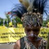 papuans-head-to-indonesian-court-to-protect-forests-from-palm-oil