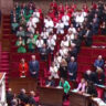 french-mps-wear-colours-of-palestinian-flag