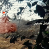 ‘behind-enemy-lines’-–-al-qassam-announces-new-daring-operation