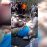video:-four-us-college-tutors-stabbed-in-northern-china