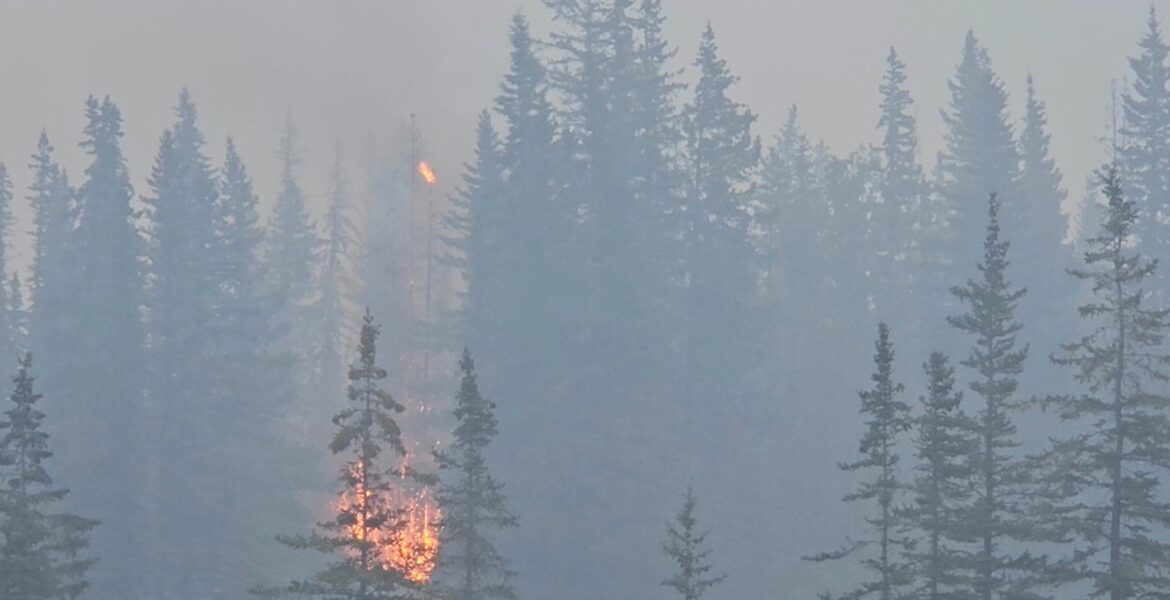 rains-help-firefighters-battle-blazes-in-canada’s-jasper-national-park